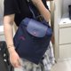 thumbnail image 3 of Bolso De Bola De Masa Francés Longchamp Mochila Para Mujer 2022 Nuevo Otoño E Invierno Moda simple Bolsa Escolar De Cuero Impermeable, 3 of 4