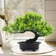 thumbnail image 3 of Bonsái Artificial Bonsái Falso con Pequeños Juegos Falsos Decoración Plantas Artificiales para Verde, 3 of 9