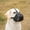 Black, variant on TELOLY Dog Muzzle for Large Dogs Basket Soft Adjustable Muzzle, Dogs can Pant and Drink to Prevent Biting, Chewing and Barking (Black, M-5)