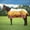 Cattle Drive, variant on Jeffers Expression 1200 Denier Standard Neck Turnout Sheet, Skater Cowgirl, 72"- Waterproof, Breathable Horse Sheet with 0g Polyfill, No insulation - Ideal Protection for Wind & Rain, Light Weight