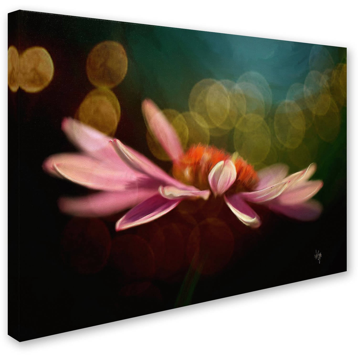 Trademark Fine Art "The Secret World of Coneflowers" Canvas Art by Lois Bryan