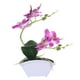 thumbnail image 1 of Artificial Bonsai Faux de Flor Toque Real Arreglo de Plantas en Maceta interior y exterior Oficina en hogar Boda Decoración D Púrpura Soledad bonsái sintético, 1 of 4