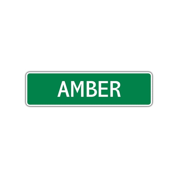 Amber Girls Children Name Letter Printed Label Indoor Outdoor Novelty Wall Plaque Decoration Aluminum Sign 4"x13.5"