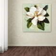 thumbnail image 3 of Trademark Fine Art 'Nouveau Botanica' Canvas Art by Tina Lavoie, 3 of 3