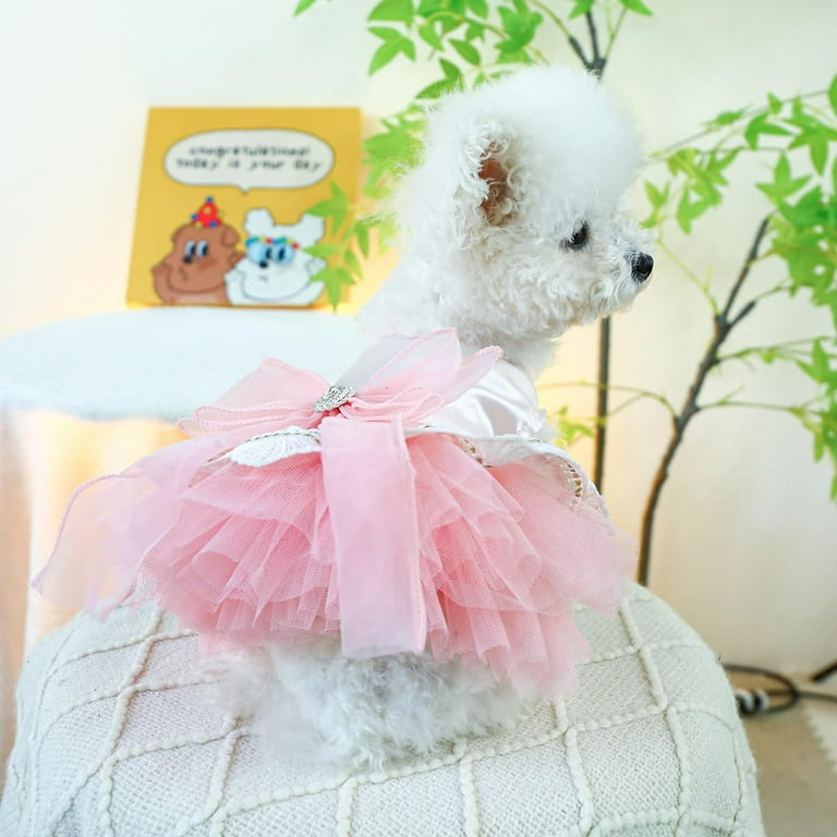 Golden Retriever Dress Dog Dress From I Feel Pretty Lace Dog