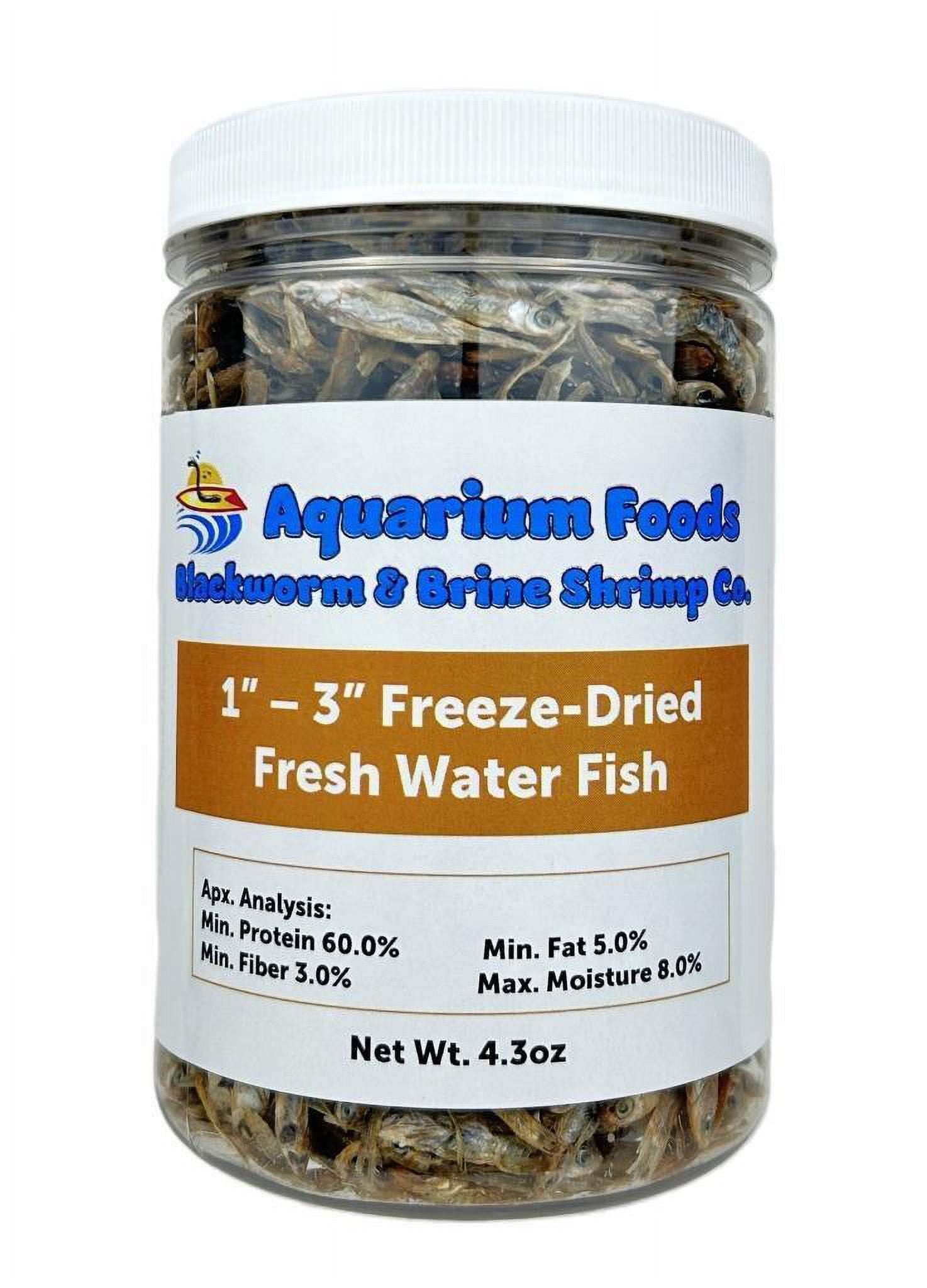 1"- 3" Freeze Dried Fresh Water Fish for Piranhas Large Fish, Land and Aquatic Turtles, Rodents, Reptiles, Lizards, Cat Treats - 4.3oz Lg Round Jar