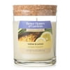 Better Homes & Garden Vetiver & Lemon 9.5oz Jar Candle, Orange