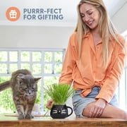 The Cat Ladies Organic Cat Grass Kit with Black Cat Ceramic Planter, Easy Indoor Planting Gift Set
