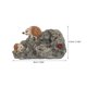 thumbnail image 2 of FENGGUIQU Figuritas Decorativas De Jardín En Resina Con Erizo Multicolor Resistentes Para Exterior E Interior, 2 of 7