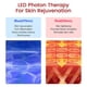 thumbnail image 5 of Máquina de Estiramiento facial, terapia de fotones Led rojo y azul, masajeador de vibración adelgazante facial, línea en V, Reduce el cinturón de doble mentón, cuidado de la piel facial en V kaili Sencillez, 5 of 5