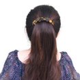 thumbnail image 5 of Eyegla Pasadores de pelo para mujer, pasadores franceses grandes, pasadores de concha de tortuga para cabello grueso, paquete de 2, 5 of 5