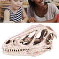 thumbnail image 1 of Resin Dinosaur Skull Model Lifelike Simulation Office Decor Craft for Dinosaur Enthusiasts Desktop Display, 1 of 7