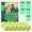 D, variant on Effective Cat Repellent – Indoor/Outdoor Natural Odor Barrier, 12 Pack Eco-Friendly Solution Keeps Cats Away