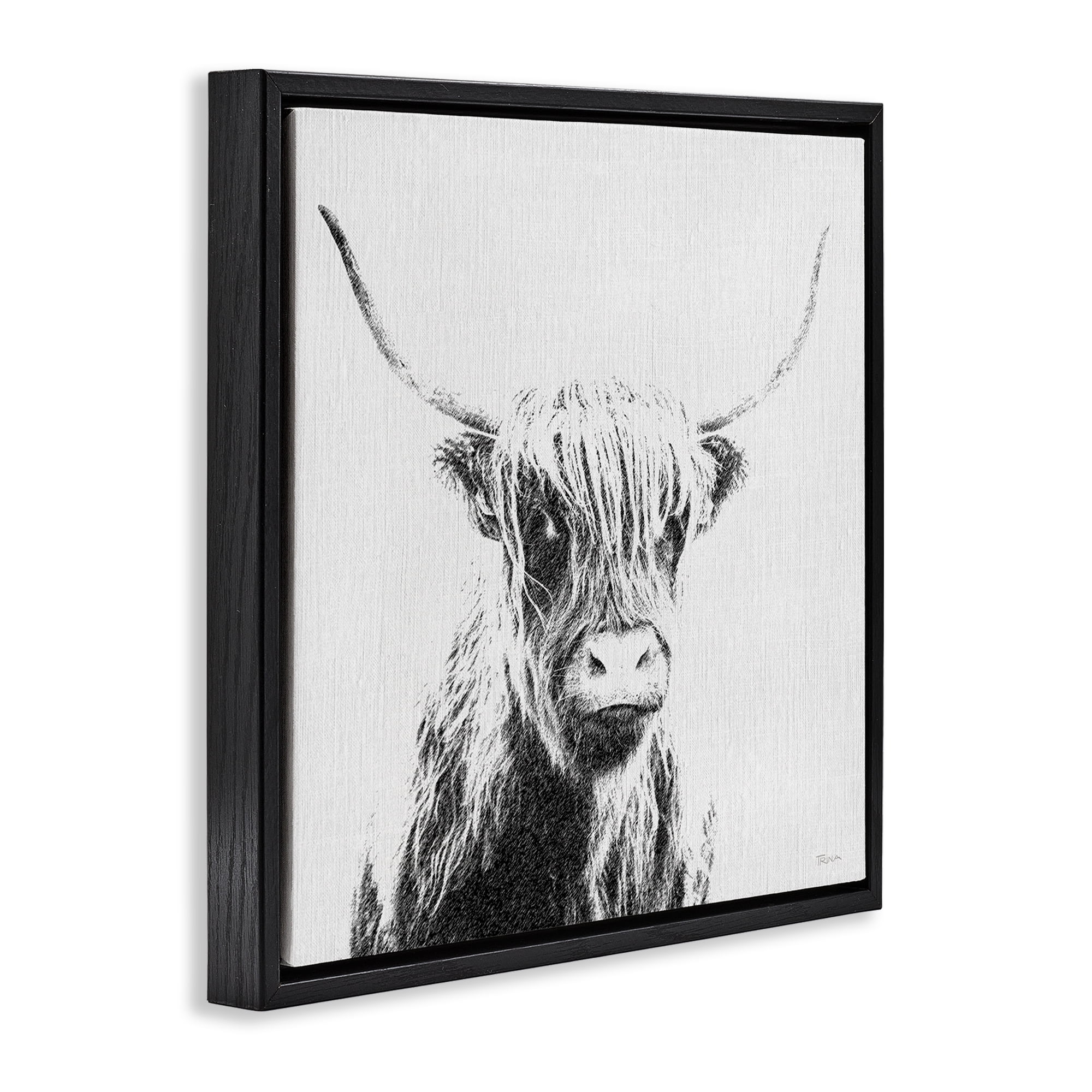 Stupell Industries Longhorn Sketch in Grey Animals Painting Black Floater Framed Canvas Art Print Wall Art, 18 x 18