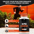 thumbnail image 3 of Alpha Horse for Men Capsules - AlphaHorse Vitamin Complex Pills, All Natural Formula, 60 Capsules, 3 of 6