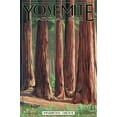 thumbnail image 2 of Art.com Mariposa Grove - Yosemite National Park, California Stretched Canvas Print Wall Art by Lantern Press, 12" x 18", 2 of 4