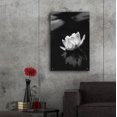 thumbnail image 6 of Epic Art 'Water Lily BW' by Istvan Nagy, Acrylic Glass Wall Art, 24"x36", 6 of 8