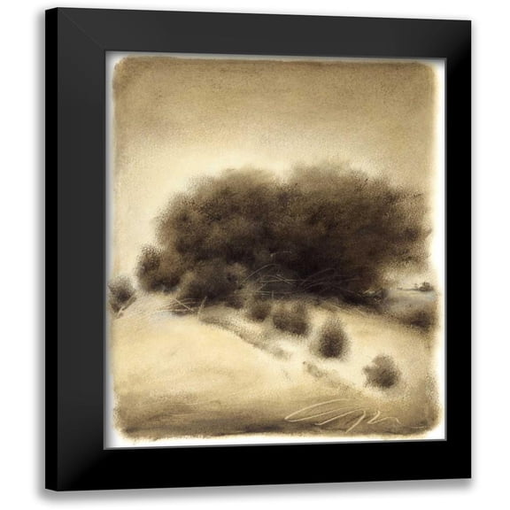 Hess, Gretchen 12x14 Black Modern Framed Museum Art Print Titled - Hill Side I
