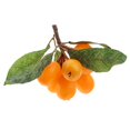 thumbnail image 4 of facefd Artificial Simulation Fruits Model Yellow Loquat for Home Kitchen Decoration, 4 of 5
