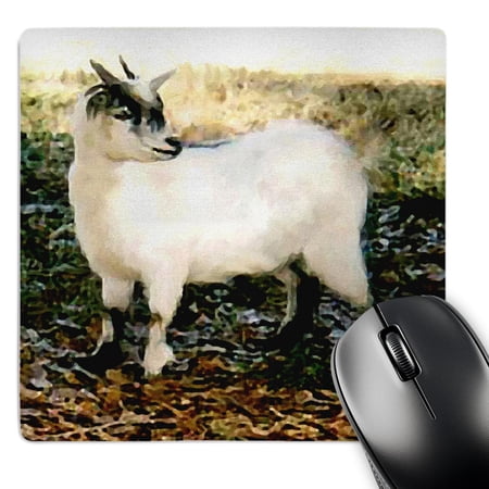 3dRose  Pygmy Goat  MousePad price history on PriceWatchPro