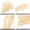 Beige 4.72", variant on 100 Pcs Wooden Paddle Picks, Bamboo Skewers Toothpicks Bamboo Skewers Sticks Natural Bamboo Skewers for Appetiser, Fruit, Cocktail, Kabob, Grilling, Barbecue, Sandwiches, 4.72", Beige