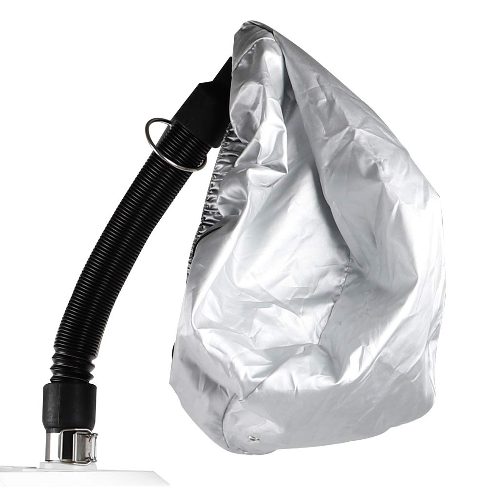 Buy Smart Touch Control Nano Hair Steamer Anion Hair Color Processor