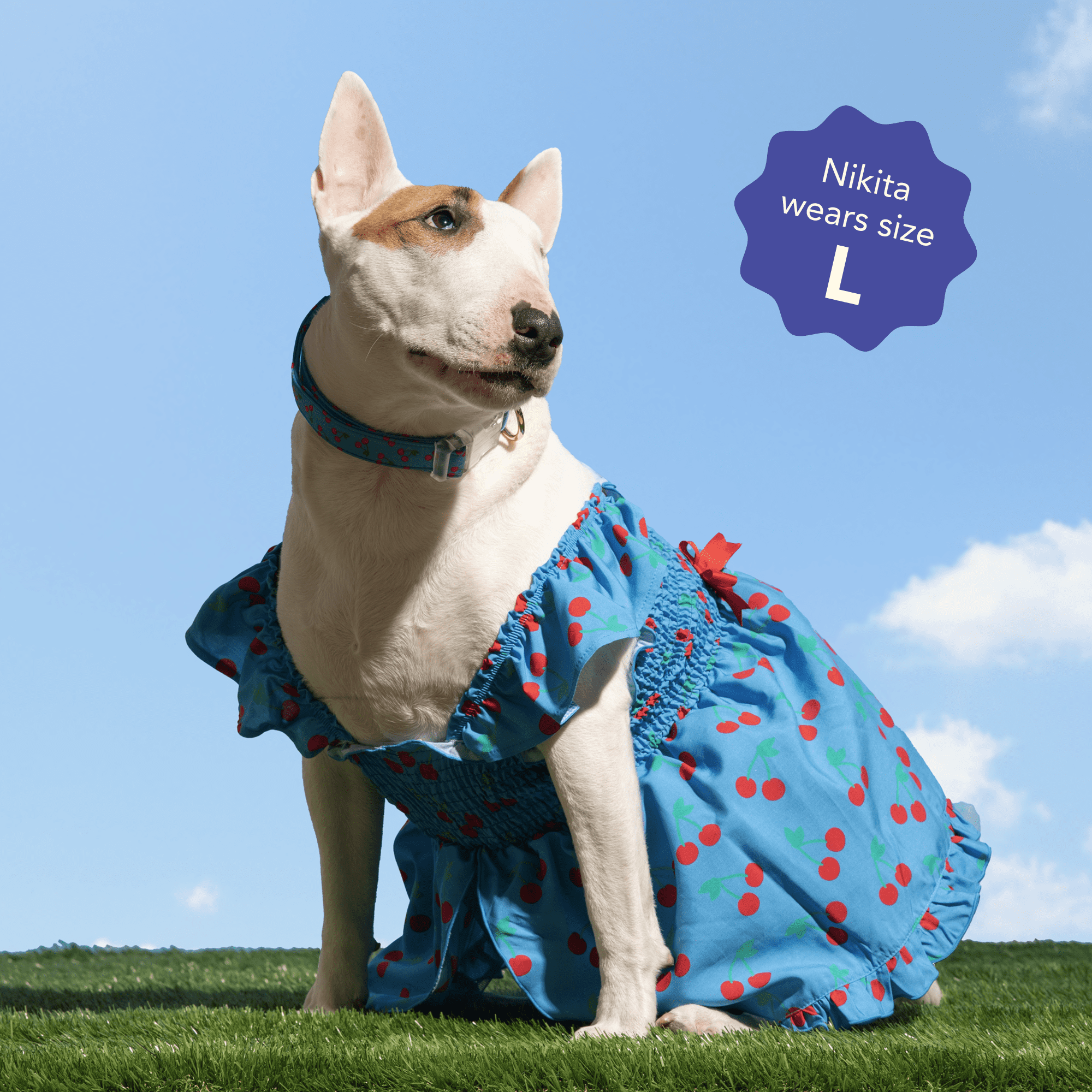 Oodles Blue Tart Cherries Spring Ruffled Dog Dress, XS