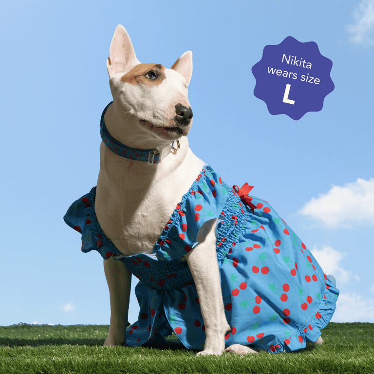 blue dress for baby girl All American Girl Dog Dress main image 0
