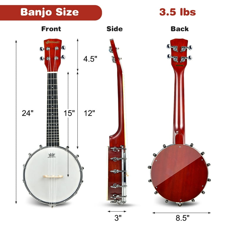 One String Banjo 3d mon