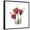 Black Frame, variant on Art.com Ruby Gentian Stretched Canvas Print Wall Art by Albert Koetsier, 30" x 30"
