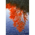thumbnail image 1 of Posterazzi DPI1784108LARGE Imprimé d'Affiche de Réflexions d'Automne par Carson Ganci, 22 x 34 - Grand, 1 of 1