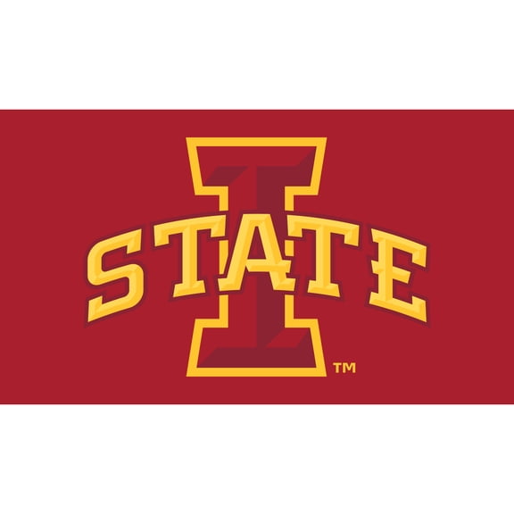 Iowa State Cyclones 28" x 16" Turf Mat