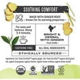thumbnail image 3 of Numi Organic Tea Ginger Lemon, 16 Count Box Of Tea Bags (Pack Of 6) Decaf Green Tea (Packaging May Vary), 3 of 3