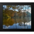 thumbnail image 2 of Fitzharris, Tim 17x15 Black Modern Framed Museum Art Print Titled - White River National Wildlife Refuge-Arkansas-USA, 2 of 5