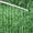 30031#Green, variant on Halloween Pajamas for Women Set Pajamas for Family Pajamas Matching Set Short Sleeve T Shirt and Pants Day Pajama