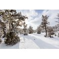 thumbnail image 2 of The Yellowstone Collection 18x13 Black Ornate Wood Framed with Double Matting Museum Art Print Titled - Snow Slurries at Mammoth Hot Springs Terraces, Yellowstone National Park, 2 of 4