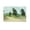 Unframe-style, variant on Ivan Shishkin Poster Edge of The Forest 6 Home Decor Poster Wall Art Hanging Picture Print Bedroom Decorative Painting Posters Room Aesthetic 12x18inch(30x45cm)
