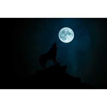 Lone Wolf Silhouette Howling At Moon Night Sky Photo Wolf Posters For Walls Posters Wolves Print Posters Art Wolf Wall Decor Nature Posters Wolf Decorations Cool Wall Art Print Poster 12x18