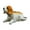 Beagle, variant on Cute Bobble Head Dog Puppy Nodding Dog for Car Dashboard Ornament Sheepdog