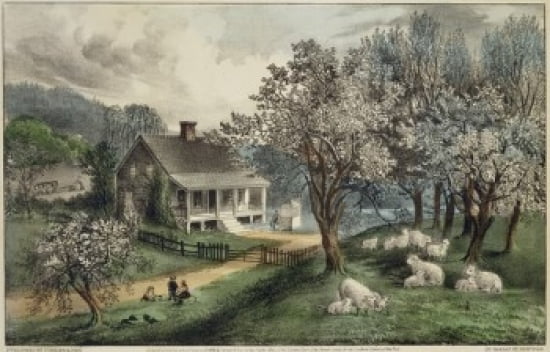 American Homestead
