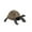 C, variant on IROINID Tortoise Animal Figurines Toys Home Decorate Preschool Educational