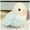 Sky-blue, variant on WEUVEB Soft Plush Parrot Bird Keychain Hanging Ornament for Car Keys, Cute Decorative Accessory, 1 Piece