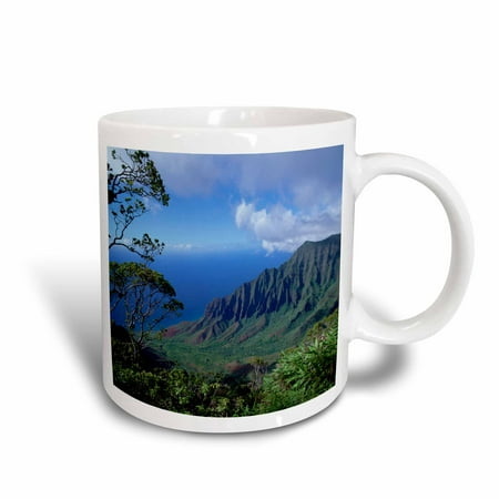 3dRose Kalalau, Kokee SP, Waimea Canyon, Kauai, Hawaii - US12 DPB0089 - Douglas Peebles, Ceramic Mug, 11-ounce