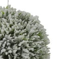 thumbnail image 3 of Northlight Frosted Pine Christmas Ball Ornament - 6" - Green, 3 of 5