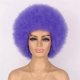 thumbnail image 1 of Zhuge Peluca afro suave de los años 70 para mujeres Pelucas de cabello afro rizado con flequillo Peluca afro de cabello sintético Peluca afro para uso diario en fiestas, Puper, 1 of 2