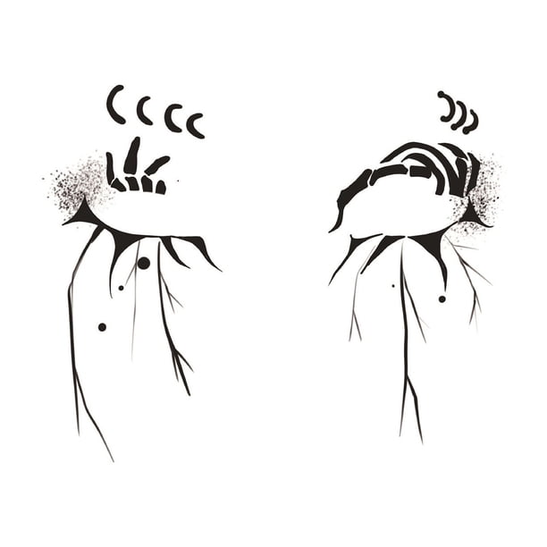 Autorización Almohadillas de cúrcuma para la cara, pegatinas para ojos, delineador de ojos, sombra de ojos, pegatinas temporales, pegatinas para mujeres y niñas, accesorios para disfraces de Ha