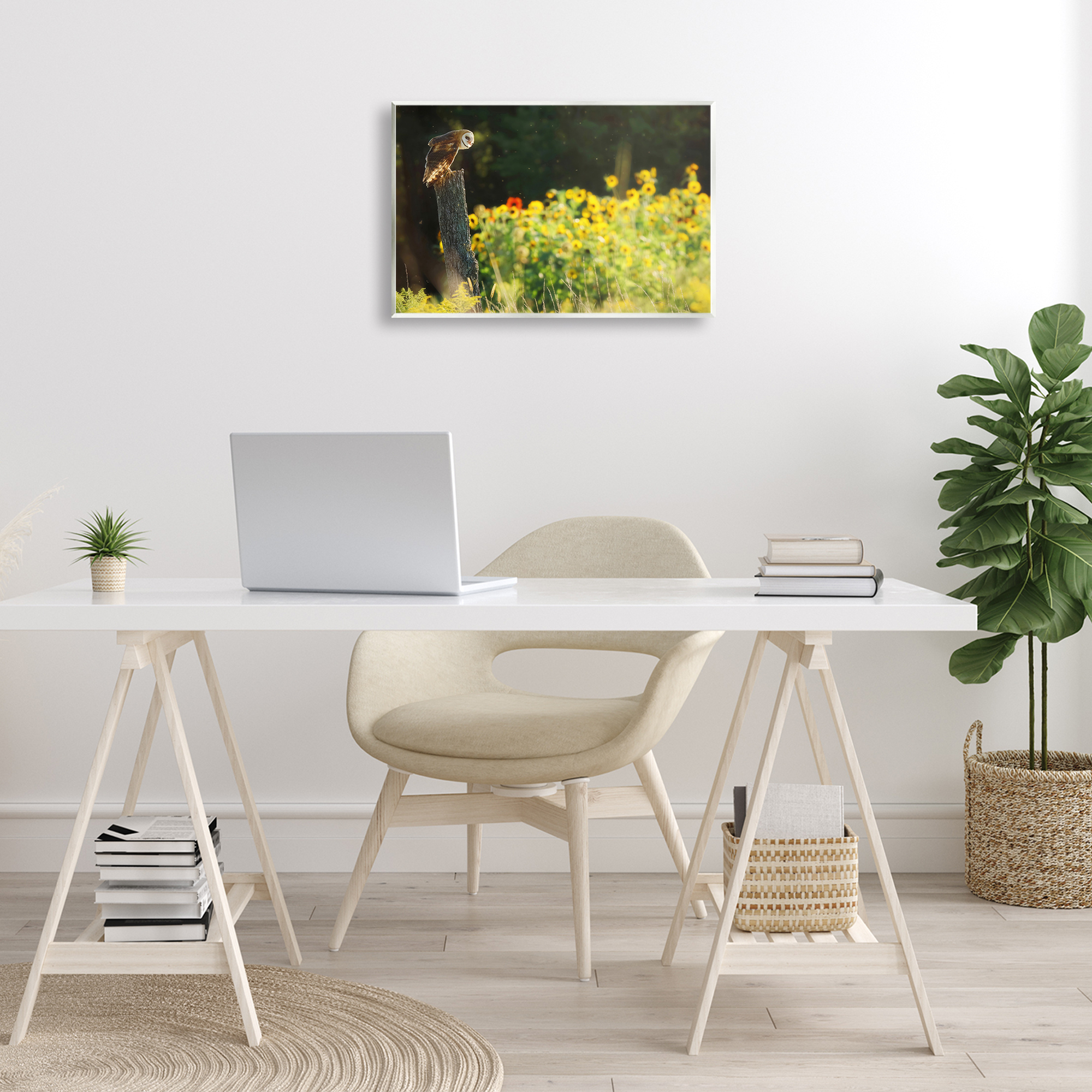 Stupell Industries Owl Perched in Meadow Landscape Photography Unframed Art Print Wall Art, 19 x 13