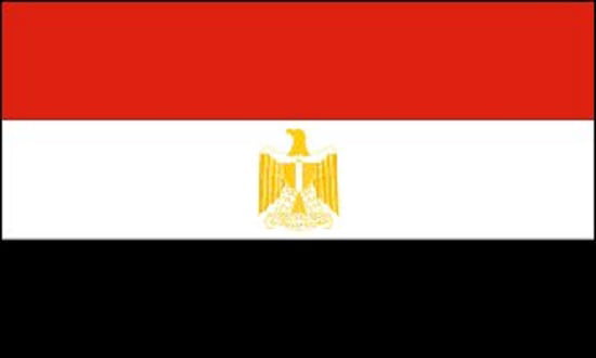 NEW 3x5 Country of EGYPT Flag 3ftx5ft Country Flag