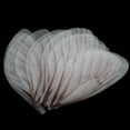 thumbnail image 4 of Abalorios jinwen de Ala de mariposa 10 uds accesorios para el cabello Cosplay café, 4 of 8