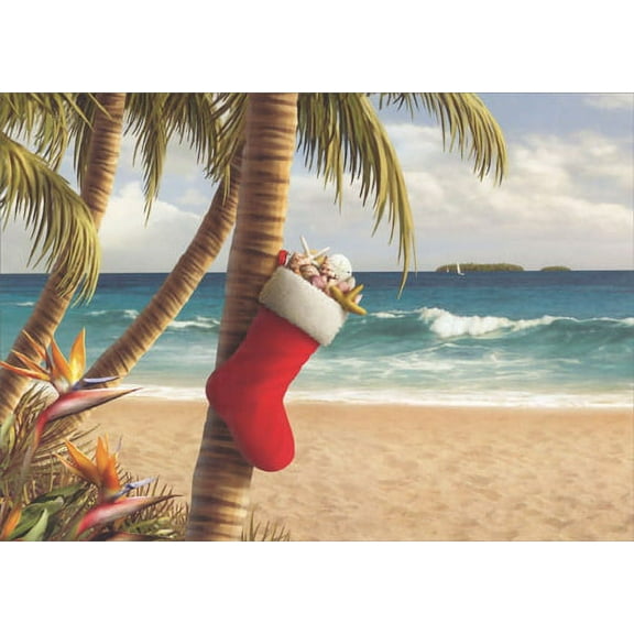 LPG Greetings Stocking Hung From Palm Tree Alan Giana Tropical Holiday Card (1 card/1 envelope)